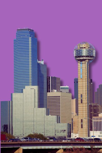 Dallas Texas Market Research business