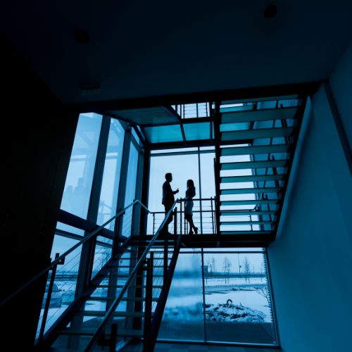 Professional Market Research services in Dallas