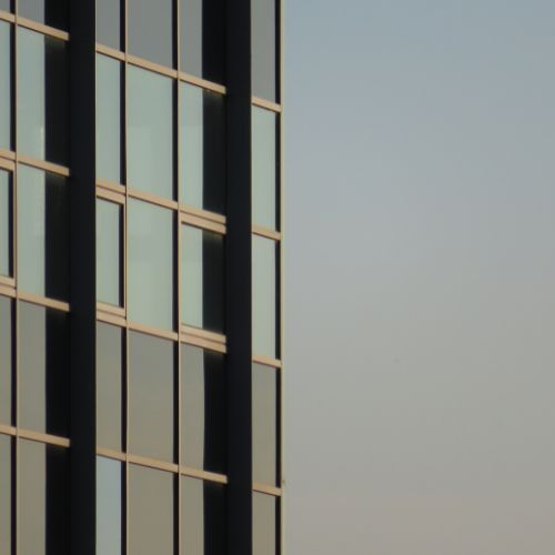 Professional Market Research services in San Diego