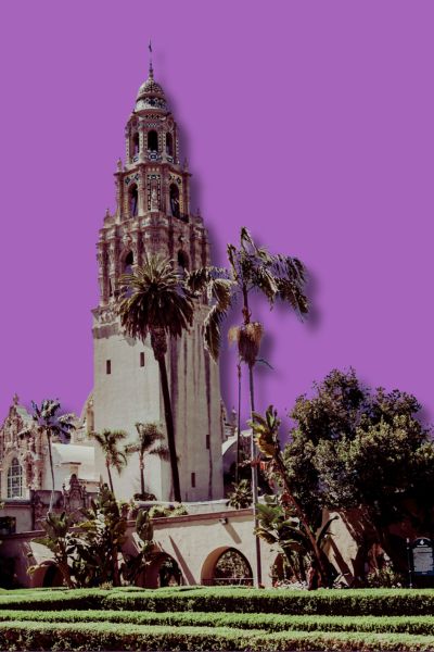 San diego Market Research Company